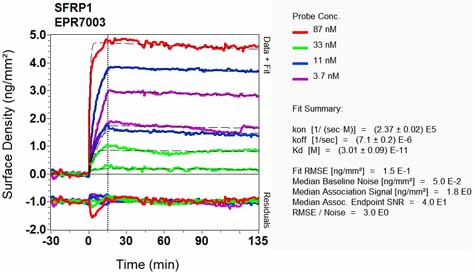 OI-RD Scanning - Anti-SFRP1 antibody [EPR7003] (ab126613), expandable thumbnail