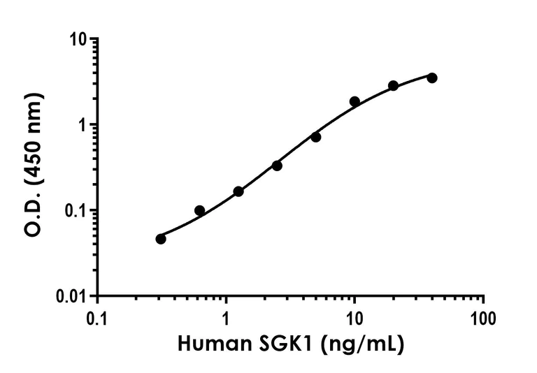 Sandwich ELISA - Anti-SGK1 antibody [EPR23300-83] - BSA and Azide free (Detector) (AB278316)