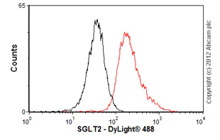 Flow Cytometry - Anti-SGLT2 antibody [3G8] (AB58298)