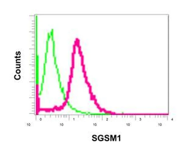 Flow Cytometry (Intracellular) - Anti-SGSM1/RUTBC2 antibody [EPR11563] - BSA and Azide free (AB249662)