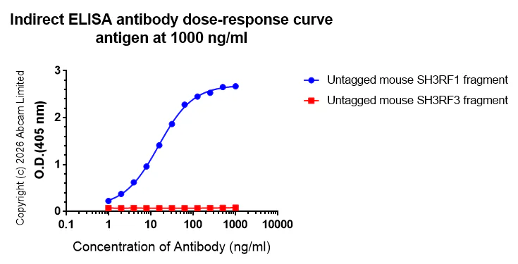 Indirect ELISA - Anti-SH3MD2 antibody [EPR30521-594] (AB326568)