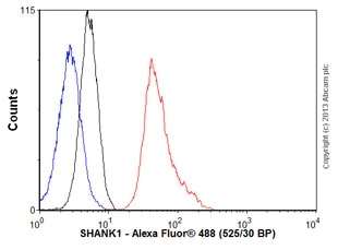 Flow Cytometry - Anti-SHANK1 antibody [N22/21] (AB94576)