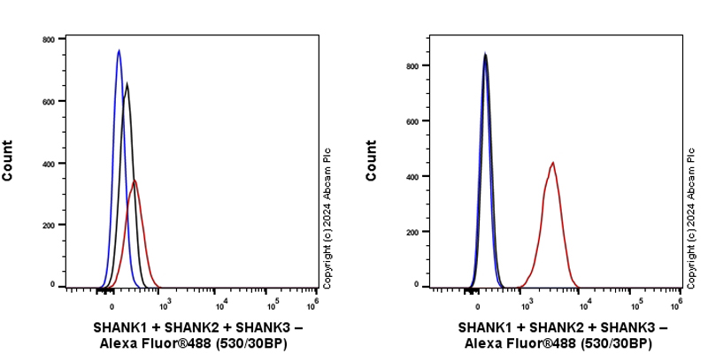 Flow Cytometry (Intracellular) - Anti-SHANK1 + SHANK2 + SHANK3 antibody [EPR26549-87] (ab317608), expandable thumbnail