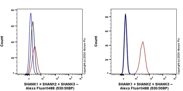 Flow Cytometry (Intracellular) - Anti-SHANK1 + SHANK2 + SHANK3 antibody [EPR26549-87] (AB317608)