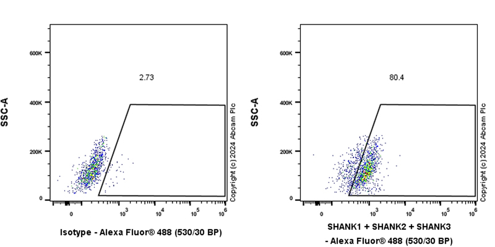 Flow Cytometry (Intracellular) - Anti-SHANK1 + SHANK2 + SHANK3 antibody [EPR26549-87] (ab317608), expandable thumbnail