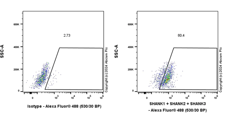 Flow Cytometry (Intracellular) - Anti-SHANK1 + SHANK2 + SHANK3 antibody [EPR26549-87] - BSA and Azide free (AB317609)