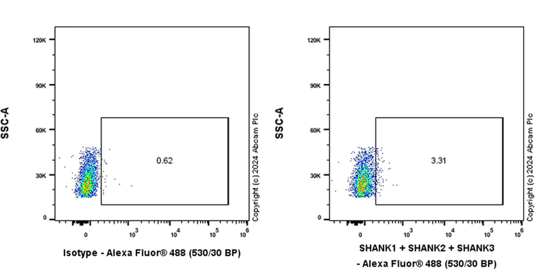 Flow Cytometry (Intracellular) - Anti-SHANK1 + SHANK2 + SHANK3 antibody [EPR26549-87] - BSA and Azide free (AB317609)