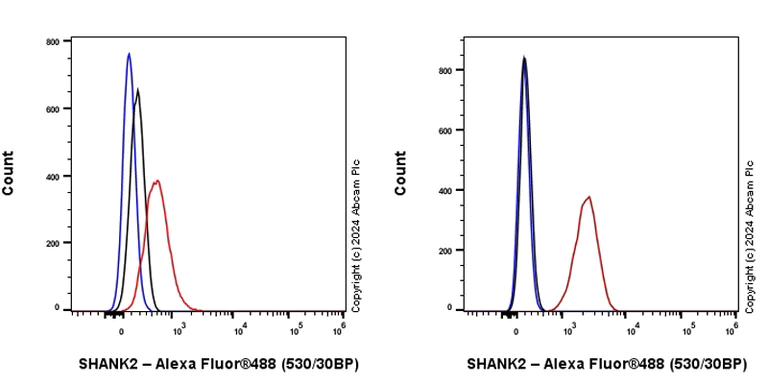 Flow Cytometry (Intracellular) - Anti-SHANK2 antibody [EPR26549-331] - BSA and Azide free (AB317607)