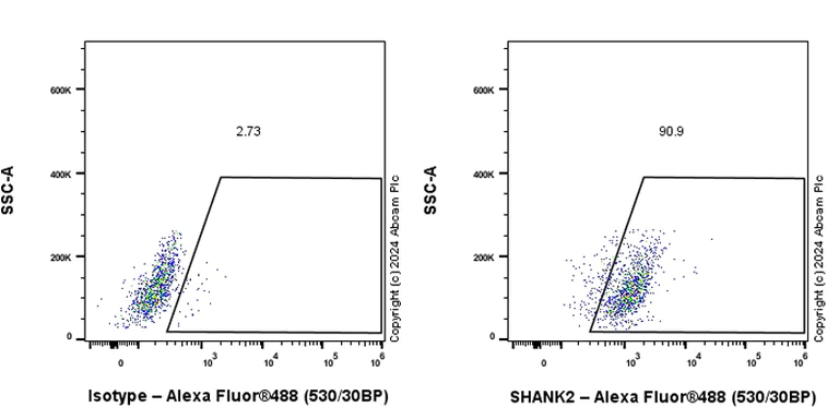 Flow Cytometry (Intracellular) - Anti-SHANK2 antibody [EPR26549-331] - BSA and Azide free (AB317607)