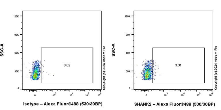 Flow Cytometry (Intracellular) - Anti-SHANK2 antibody [EPR26549-331] - BSA and Azide free (AB317607)