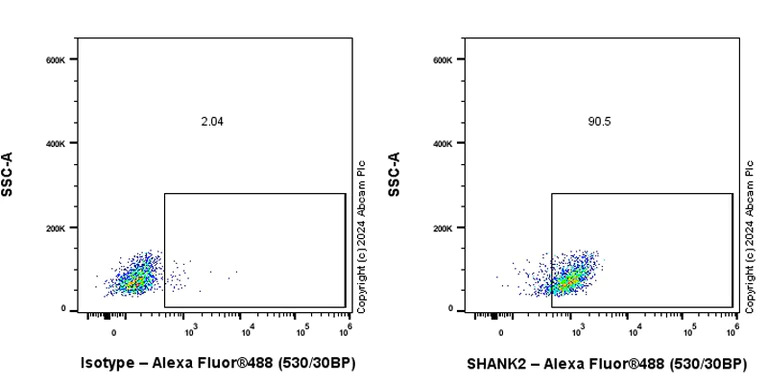 Flow Cytometry (Intracellular) - Anti-SHANK2 antibody [EPR26549-331] - BSA and Azide free (AB317607)