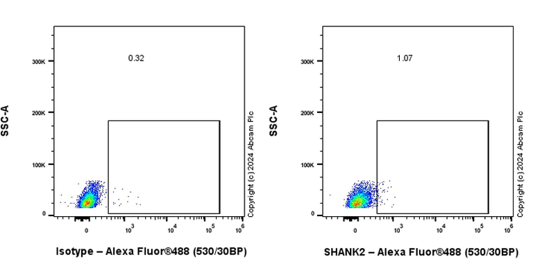 Flow Cytometry (Intracellular) - Anti-SHANK2 antibody [EPR26549-331] - BSA and Azide free (AB317607)