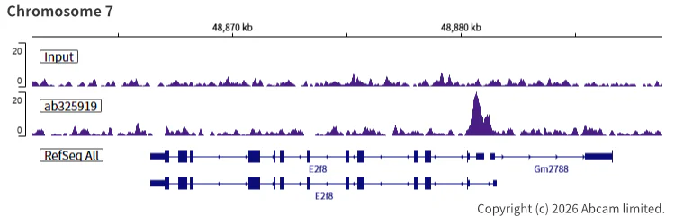 ChIP-sequencing - Anti-SHARP2/DEC1 antibody [EPR29211-84] (AB325919)