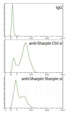 Flow Cytometry - Anti-SHARPIN antibody (AB197853), expandable thumbnail