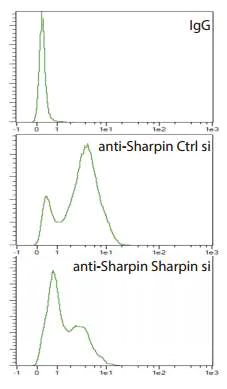 Flow Cytometry - Anti-SHARPIN antibody (AB197853)