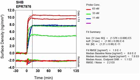 OI-RD Scanning - Anti-SHB antibody [EPR7976] - BSA and Azide free (AB248341), expandable thumbnail
