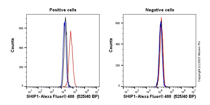 Flow Cytometry (Intracellular) - Anti-SHIP-1 antibody [EP378Y] (AB45142)