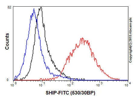 Flow Cytometry (Intracellular) - Anti-SHIP-1 antibody [EP378Y] - BSA and Azide free (AB190551)