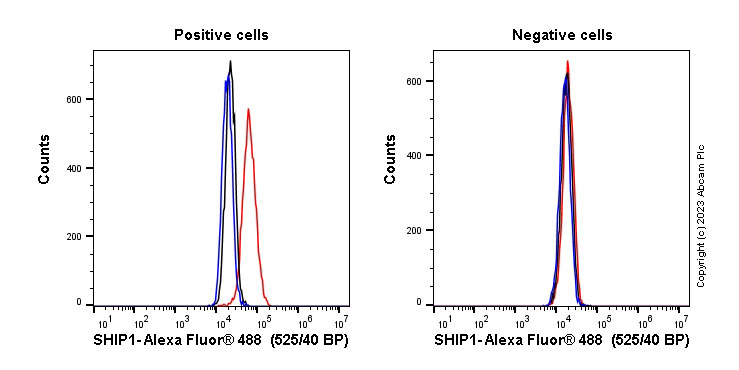 Flow Cytometry (Intracellular) - Anti-SHIP-1 antibody [EP378Y] - BSA and Azide free (ab190551), expandable thumbnail