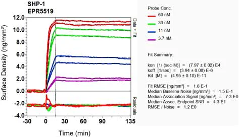 OI-RD Scanning - Anti-SHP1 antibody [EPR5519] - BSA and Azide free (AB240949)