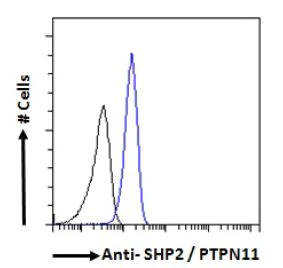 Flow Cytometry (Intracellular) - Anti-SHP2 antibody (AB9214)