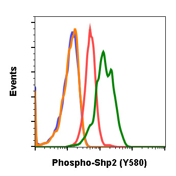 Flow Cytometry - Anti-SHP2 (phospho Y580) antibody [Shp2Y580-4A2] (AB278699), expandable thumbnail