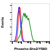 Flow Cytometry - Anti-SHP2 (phospho Y580) antibody [Shp2Y580-4A2] (AB278699), expandable thumbnail