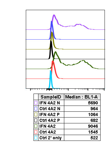 Flow Cytometry - Anti-SHP2 (phospho Y580) antibody [Shp2Y580-4A2] (AB278699), expandable thumbnail