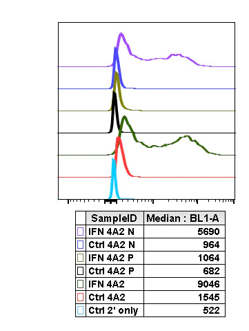 Flow Cytometry - Anti-SHP2 (phospho Y580) antibody [Shp2Y580-4A2] (AB278699)