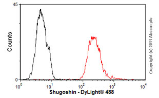 Flow Cytometry - Anti-Shugoshin antibody [3C11] (AB58023)