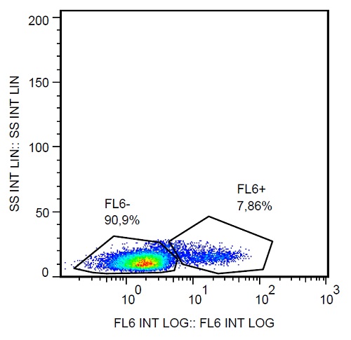 Flow Cytometry - Anti-Siglec 7 antibody [6-434] (AB234144)