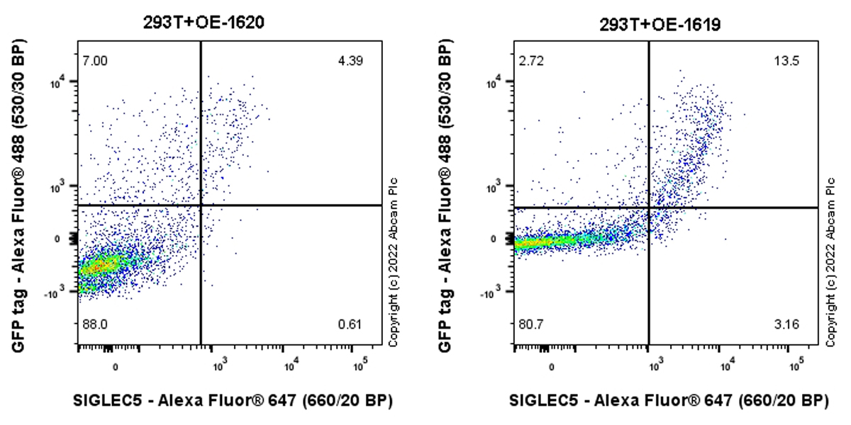 Flow Cytometry (Intracellular) - Anti-SIGLEC5 antibody [RM2001] (AB307846), expandable thumbnail