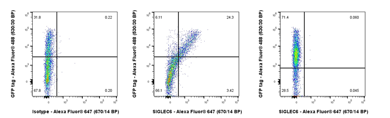 Flow Cytometry - Anti-SIGLEC6 antibody [EPR28608-365] - BSA and Azide free (AB317310), expandable thumbnail