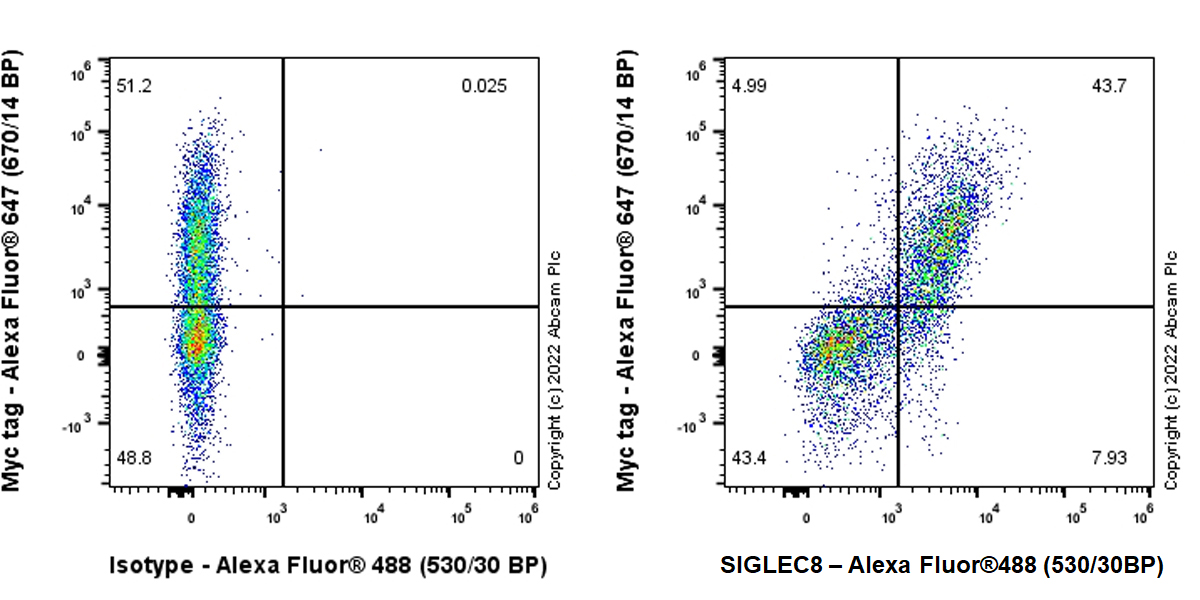 Flow Cytometry (Intracellular) - Anti-SIGLEC8 antibody [EPR24419-56] - BSA and Azide free (AB305298), expandable thumbnail