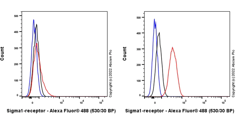 Flow Cytometry (Intracellular) - Anti-Sigma1-receptor antibody [EPR25145-11] - BSA and Azide free (AB307549)