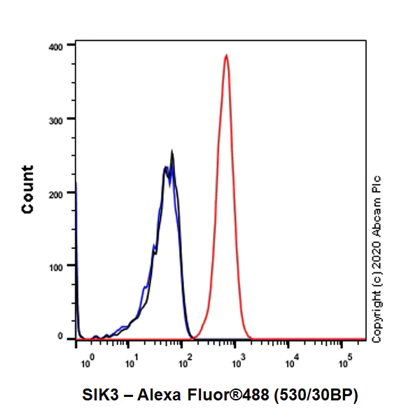 Flow Cytometry - Anti-SIK3 antibody [EPR20880-249] - BSA and Azide free (AB283508)