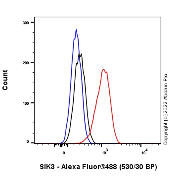 Flow Cytometry (Intracellular) - Anti-SIK3 antibody [EPR23554-71] (AB255701)