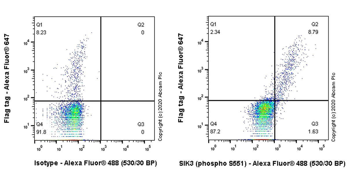 Flow Cytometry (Intracellular) - Anti-SIK3 (phospho S551) antibody [EPR20878-12] - BSA and Azide free (ab283510), expandable thumbnail