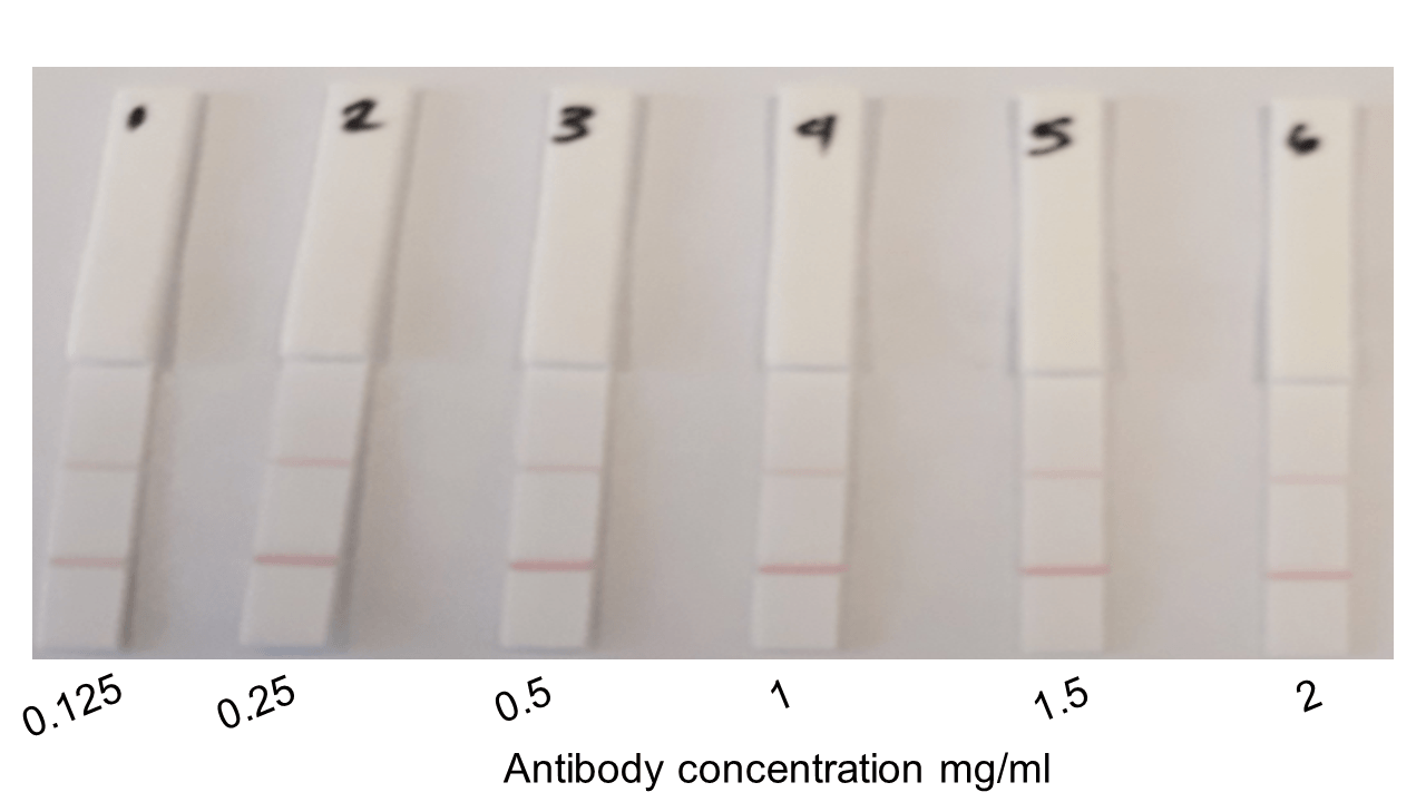 Functional Studies - SimpleStep ELISA® Peptide Check Kit (AB270053), expandable thumbnail