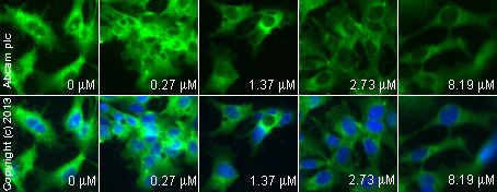 Functional Studies - Sinomenine hydrochloride, Morphinan analog (AB141190)