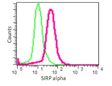 Flow Cytometry (Intracellular) - Anti-SIRP alpha antibody [EPR16264] - Low endotoxin, Azide free (AB209892)