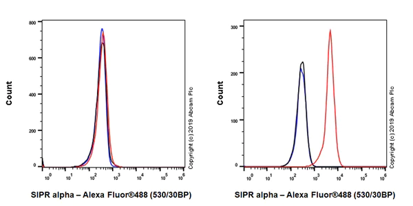 Flow Cytometry - Anti-SIRP alpha antibody [EPR22930-163] (AB260039)