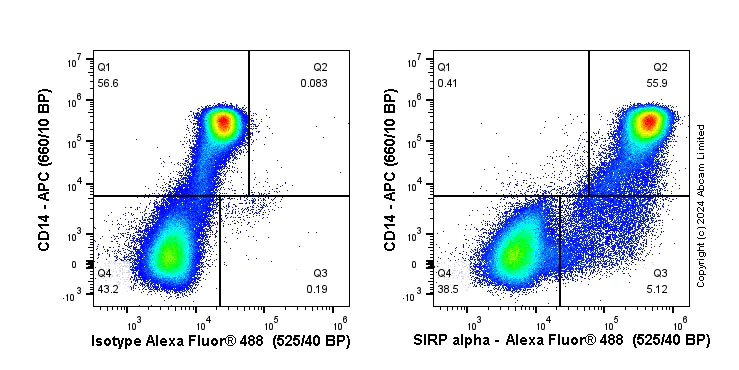 Flow Cytometry - Anti-SIRP alpha antibody [EPR22930-163] - BSA and Azide free (AB267401)