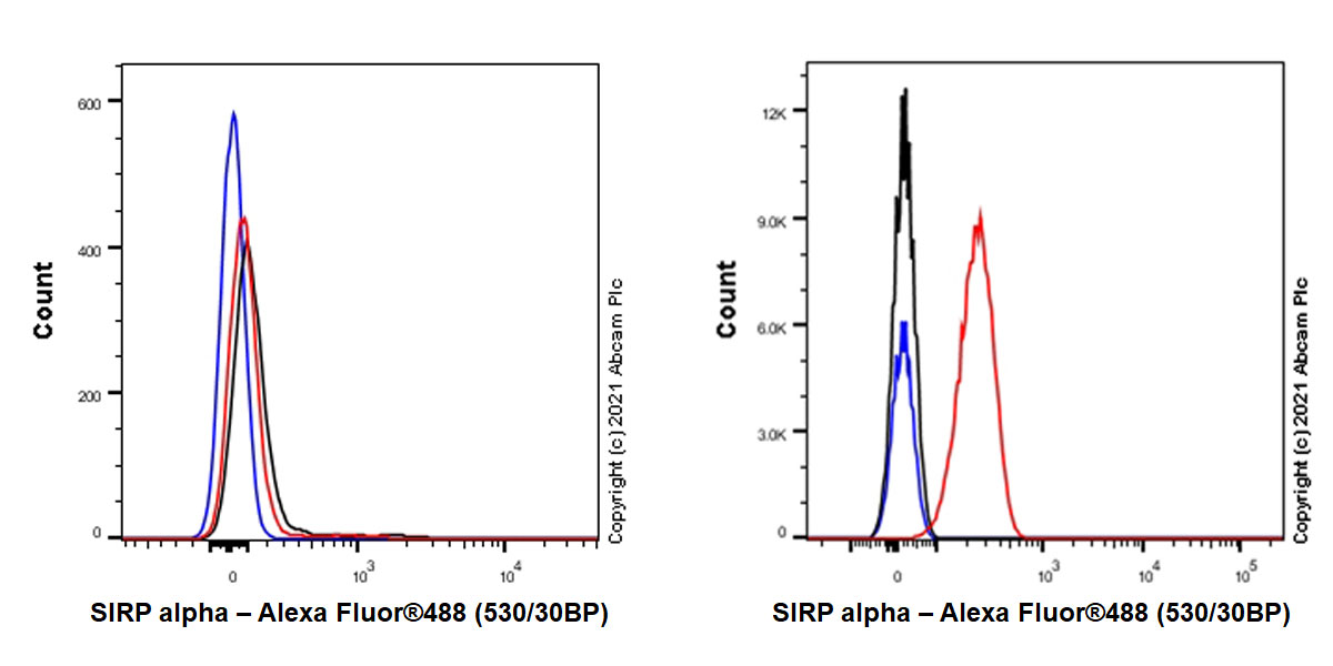 Flow Cytometry (Intracellular) - Anti-SIRP alpha antibody [EPR24187-17] - BSA and Azide free (AB288445), expandable thumbnail