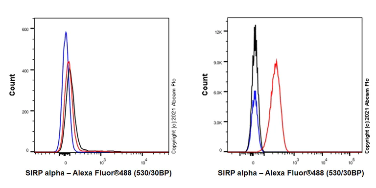 Flow Cytometry (Intracellular) - Anti-SIRP alpha antibody [EPR24187-17] - BSA and Azide free (AB288445)