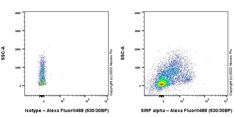 Flow Cytometry - Anti-SIRP alpha antibody [OX-41] (AB307563)
