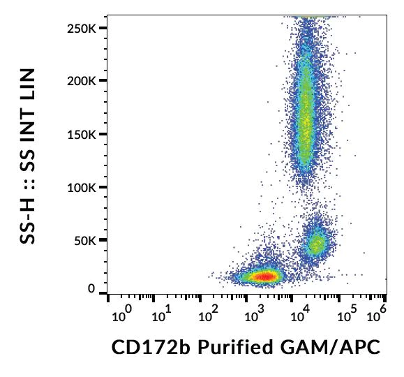 Flow Cytometry - Anti-SIRPB1 antibody [B4B6] (AB253252)