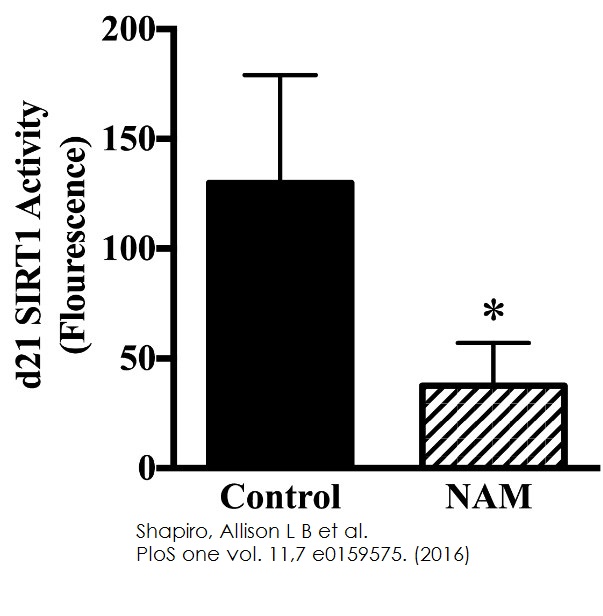 Functional Studies - SIRT1 Activity Assay Kit (Fluorometric) (AB156065), expandable thumbnail