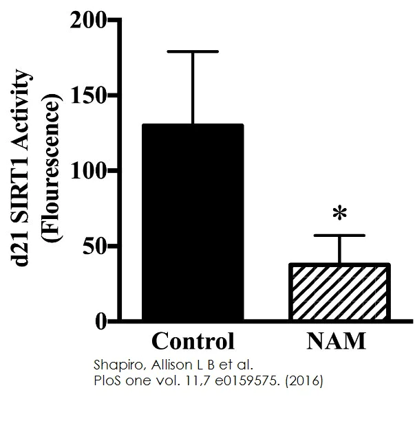 Functional Studies - SIRT1 Activity Assay Kit (Fluorometric) (AB156065)