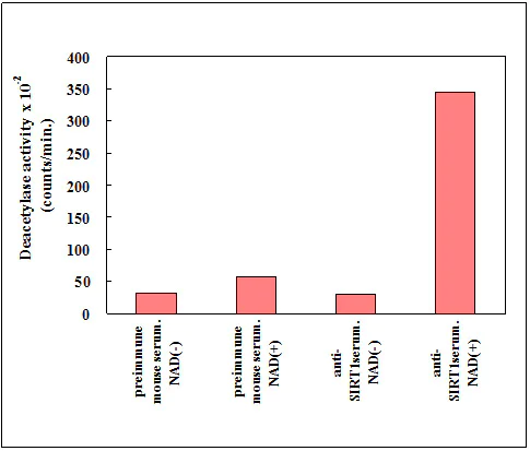Functional Studies - SIRT1 Activity Assay Kit (Fluorometric) (AB156065)